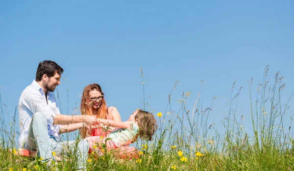 Familia cogida de la mano en verano en la hierba — Foto de Stock