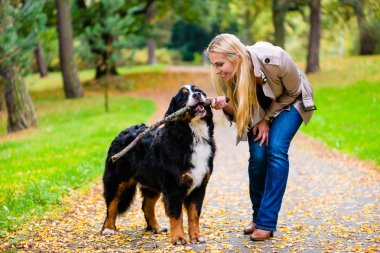 Kadın ve köpek alma, stick oyunu