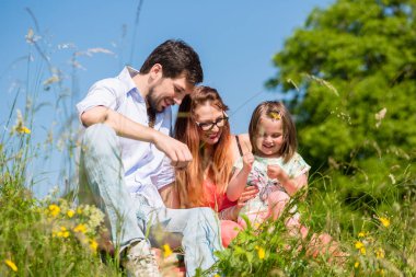 Çayır üzerinde kır çiçekleri ile oynarken aile
