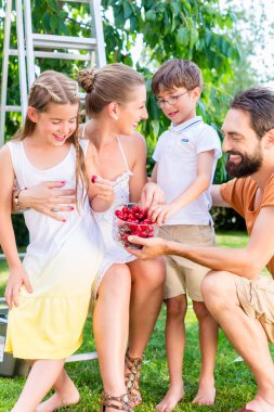 Aile hasat ve kiraz yemek 