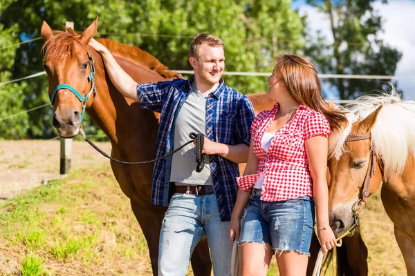 Paar kinderboerderij paard — Stockfoto