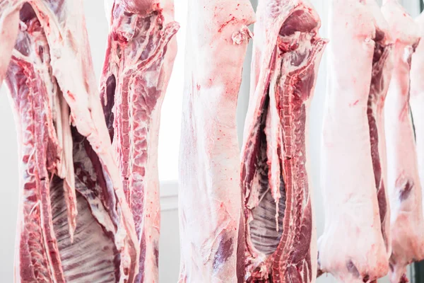 Carcasses de porc en boucherie — Photo