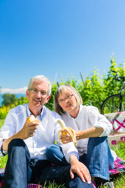 Seniorenpaar isst und trinkt bei Picknick im Sommer — Stockfoto