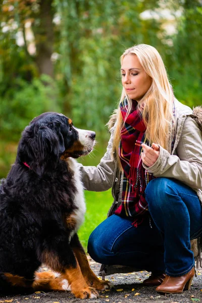 Kvinnan gå ut med hunden i höst park — Stockfoto