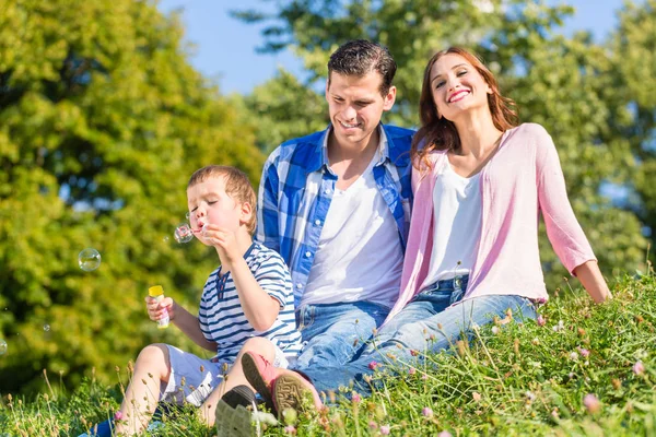 Çayır üzerinde oturan aile — Stok fotoğraf