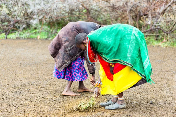 Massai γυναίκες σκουπίζοντας το πάτωμα — Φωτογραφία Αρχείου