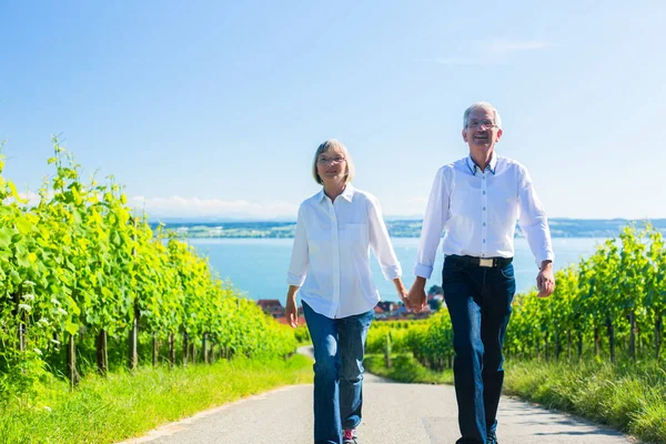 Pareja mayor teniendo paseo en viñedo — Foto de Stock