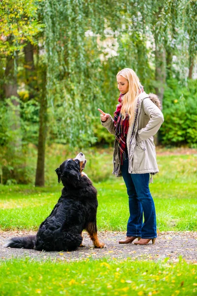 Girl in autumn park training her dog in obedience — Stock Photo, Image