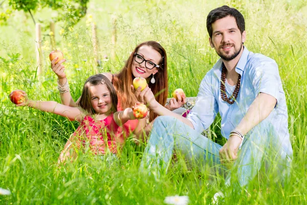 Famiglia che fa picnic sul prato con frutta sana — Foto Stock