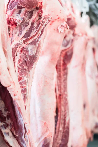 Carcasses de porc en boucherie — Photo