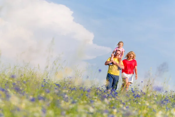 Familie wandeling op weide met bloemen — Stockfoto