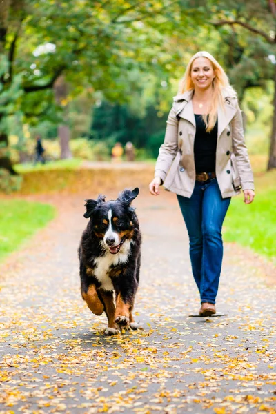 Mujer y perro en la recuperación de palo juego — Foto de Stock