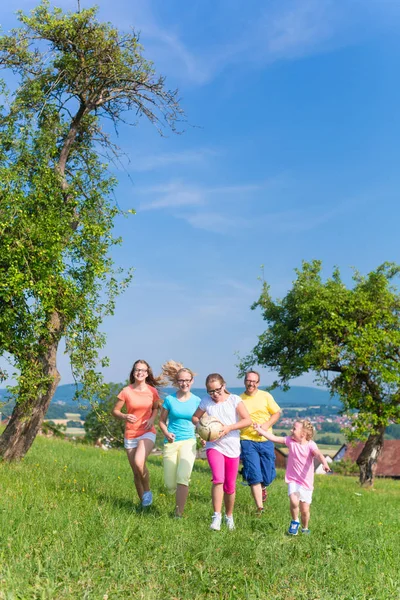 Père avec enfants sur la prairie verte — Photo