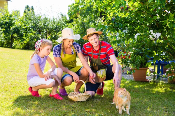 Familie cu pisică în grădină — Fotografie, imagine de stoc