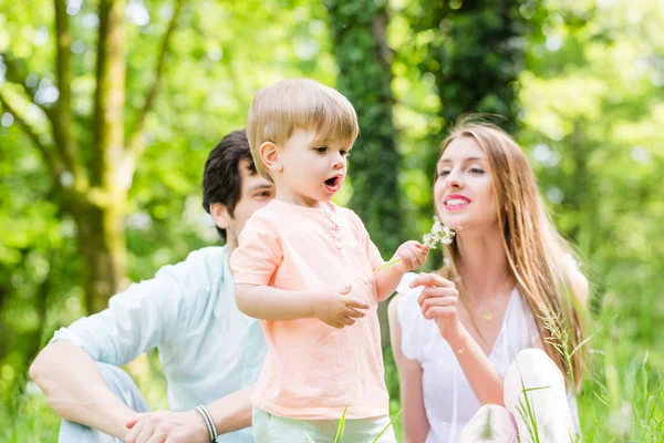 Familj med sonen på ängen — Stockfoto