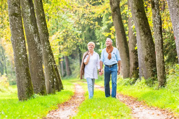 Coppia anziana che fa una passeggiata nel bosco — Foto Stock