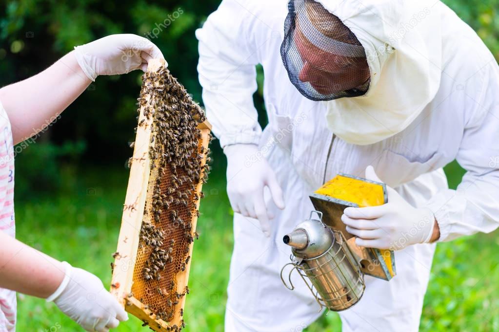 Beekeeper with smoker controlling 