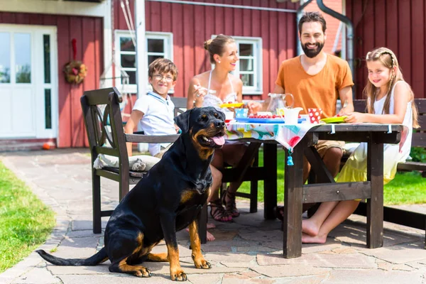 Rodziny z psem jedzenie w ogrodzie — Zdjęcie stockowe