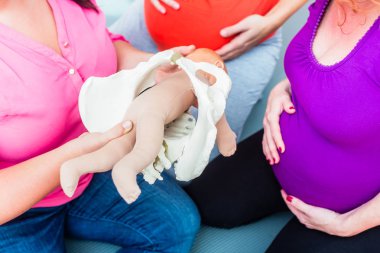 Doğum süreci ile anatomik modeli açıklayan 