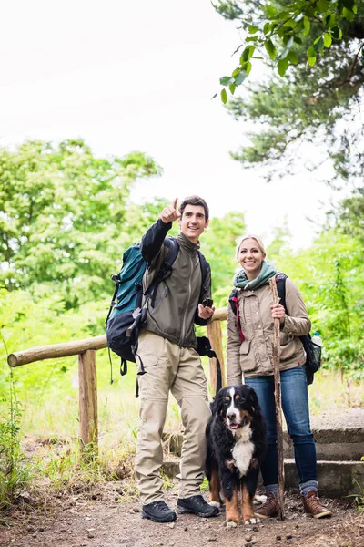 森の犬と一緒にハイカー — ストック写真