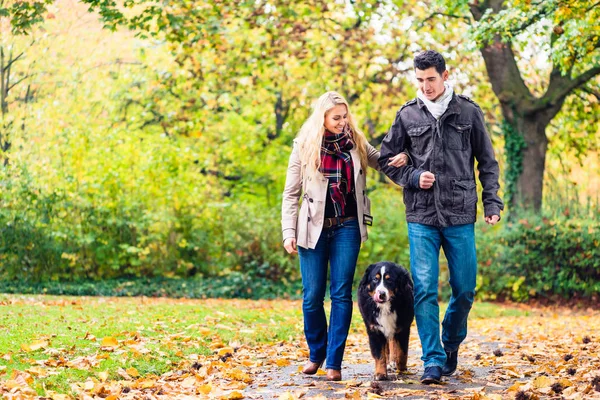 Donna Uomo Con Cane Che Camminano Sentiero Ricoperto Fogliame — Foto Stock