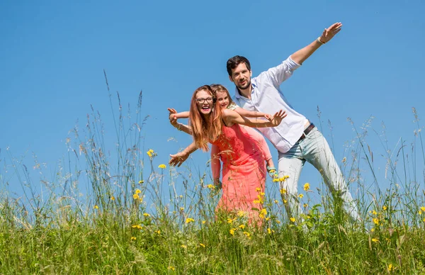 Familie Macht Flieger Auf Sommerwiese Bei Strahlend Blauem Himmel — Stockfoto