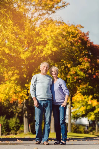 Starší pár v podzimní park — Stock fotografie