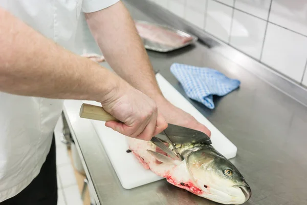 Chef filleting carp fish — Stock Photo, Image