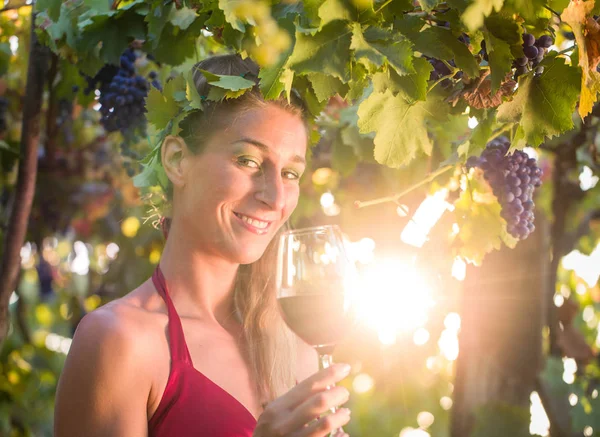 在闪亮的葡萄园背景的年轻妇女与玻璃葡萄酒 — 图库照片