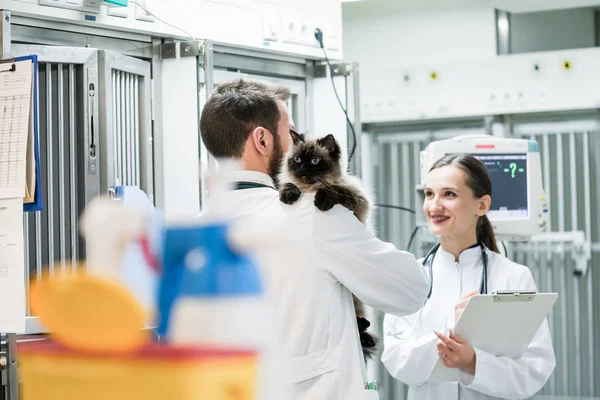 Κτηνίατροι σε κλινική ζώων συντροφιάς — Φωτογραφία Αρχείου