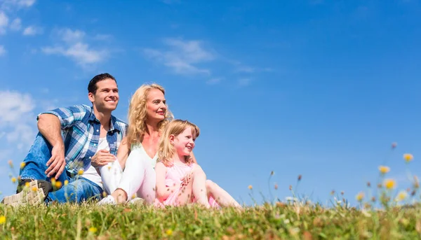 Familia sentada en hierba verde en el prado —  Fotos de Stock