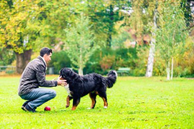 Köpek topu babasının Park alınıyor
