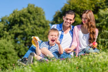 Çayır çimlere oturup piknik aile