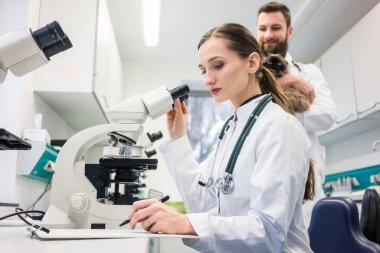 Veteriner Doktor microscop kedi kan örnekleri analiz