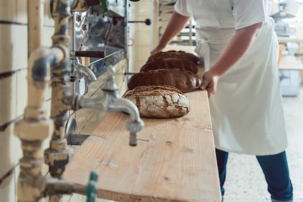 Panettiera ottenere pane mocassini dal forno di panetteria — Foto Stock