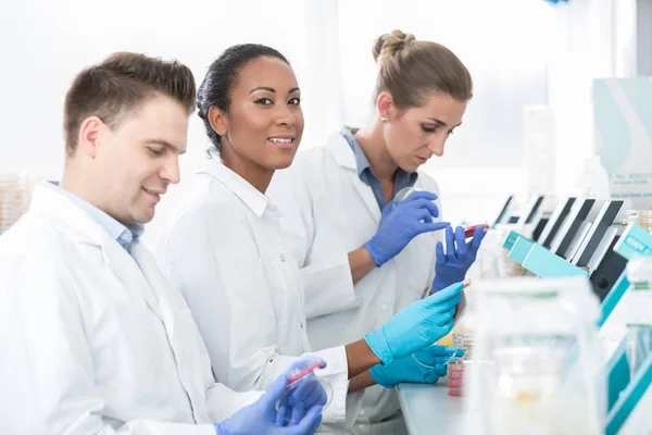 Group of researchers using scientific technology for test of ger — Stock Photo, Image