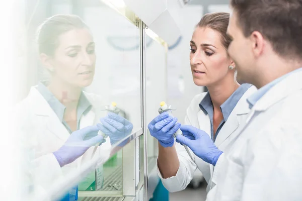 Científicos en laboratorio preparando muestras bajo splashback — Foto de Stock