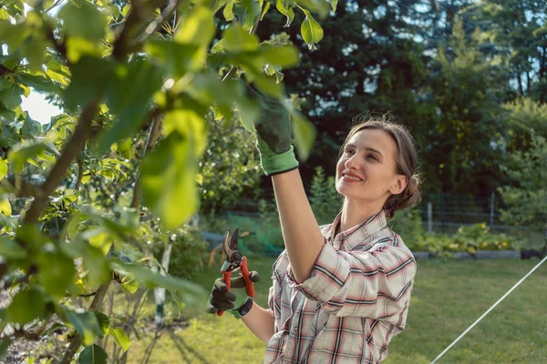 Vrouw fruitboom controleren — Stockfoto