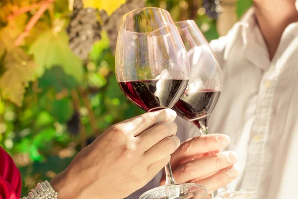 Vintner couple clinking wine glasses in vineyard — Stock Photo, Image
