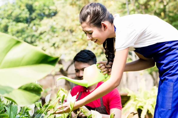 Felice Giovane Donna Utilizzando Annaffiatoio Verde Giardino Accanto Suo Partner — Foto Stock