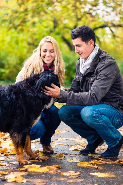 Pareja Con Perro Otoño Parque Ciudad — Foto de Stock