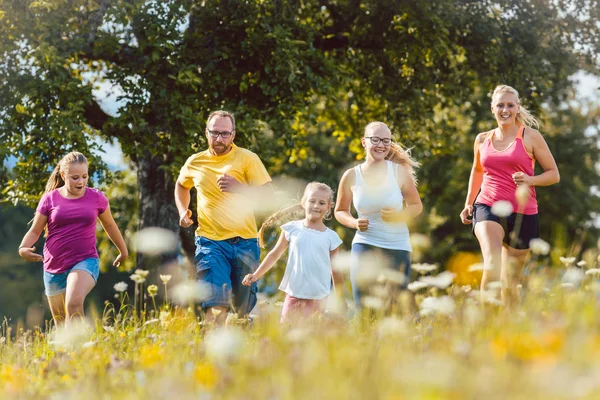 Família correndo no prado — Fotografia de Stock