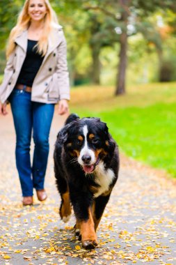 Kadın ve köpek alma, stick oyunu