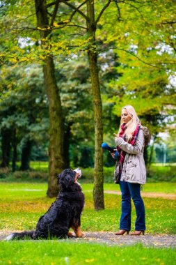 Girl in autumn park training her dog in obedience clipart