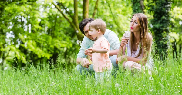 Familia con hijo en prado soplando semilla de diente de león — Foto de Stock