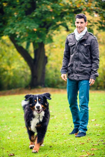 Homme promenant son chien dans le parc d'automne — Photo