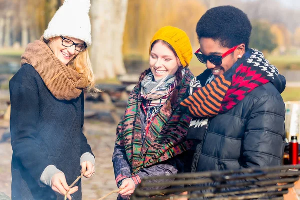 Grupo de jóvenes asando salchichas al aire libre — Foto de Stock