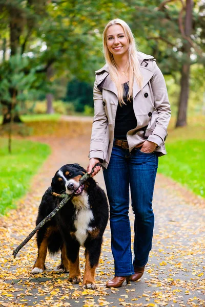 Woman Dog Retrieving Stick Game Fall Park — Stock Photo, Image