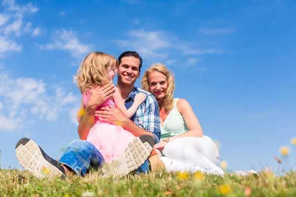 Yeşil çimenlerin üzerinde çayır oturan aile — Stok fotoğraf