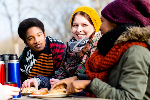 Jóvenes amigos hablando en el picnic al aire libre en el parque — Foto de Stock